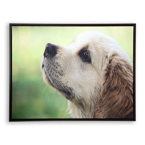 Dog Canvas Photo Frame