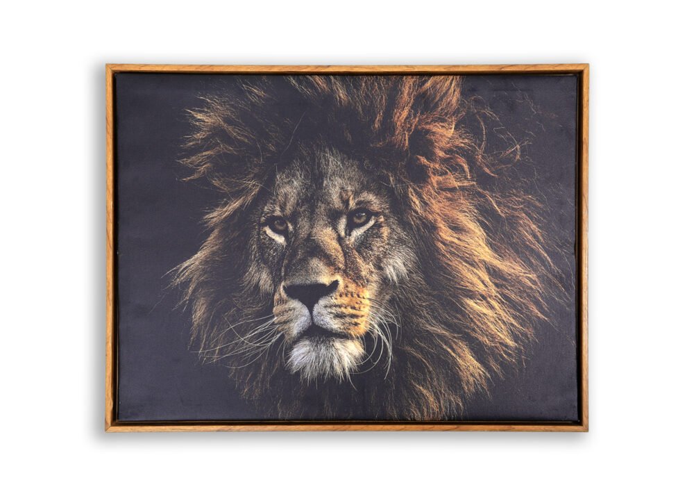 Lion Canvas Photo Frame