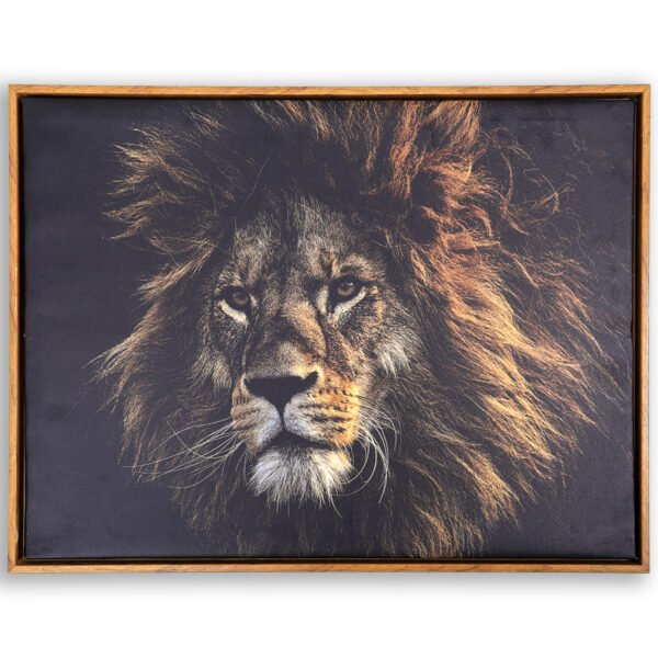 Lion Canvas Photo Frame